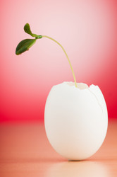 Similar image 3590312