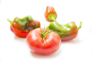 Similar image 3592263