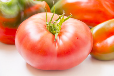 Similar image 3592312