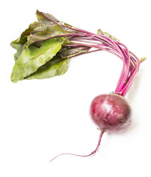 Similar image 3592339