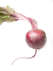 Similar image 3592349