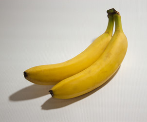 Similar image 3592429