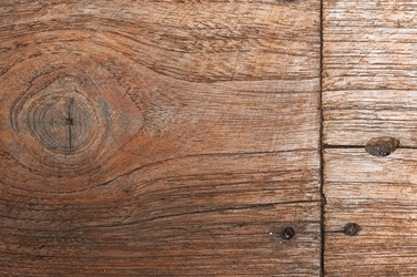 Similar image 3593558