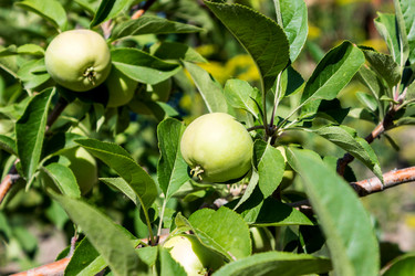 Similar image 3593578