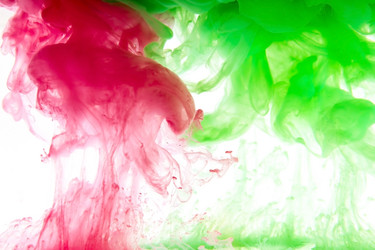 Similar image 3593579