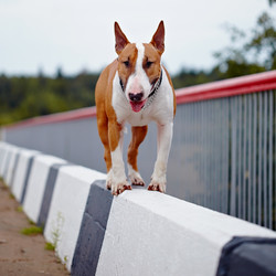 Similar image 3594336