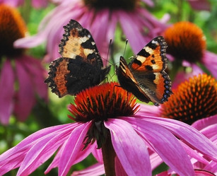 Similar image 3594759