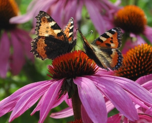 Similar image 3594761