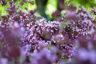 Similar image 3594762