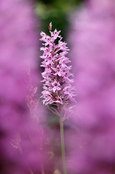 Similar image 3594769