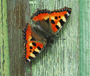 Similar image 3594770