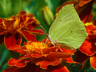 Similar image 3594906