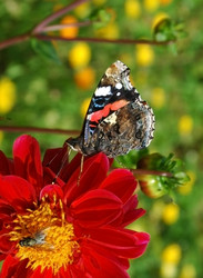 Similar image 3594907