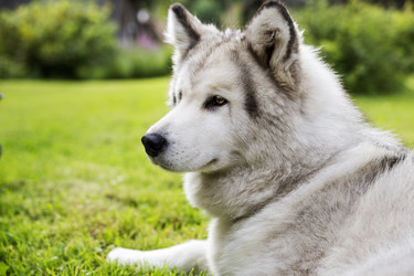 Similar image 3596453