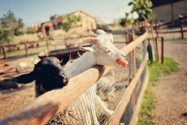 Similar image 3597037