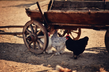 Similar image 3597048