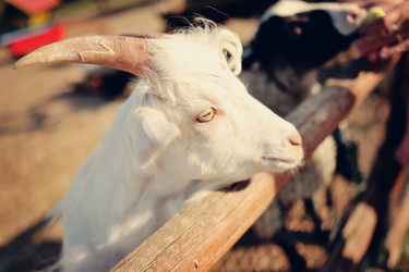 Similar image 3597051