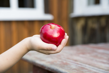 Similar image 3597312