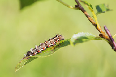 Similar image 3597384