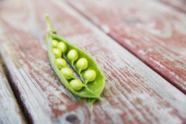 Similar image 3597385