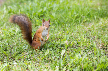 Similar image 3597386