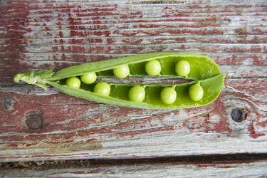 Similar image 3597390