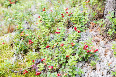 Similar image 3597443