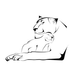 Similar image 3597608