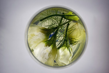 Similar image 3601644