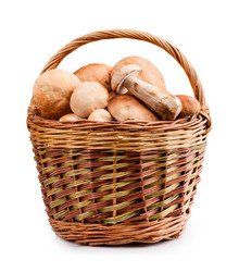 Similar image 3623655