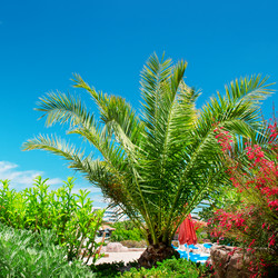 Similar image 3623664