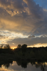 Similar image 3647078