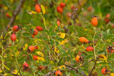 Similar image 3689810