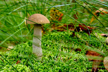 Similar image 3689829