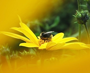 Similar image 3691154