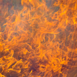 Similar image 3693426