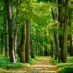 Similar image 3693444