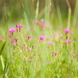 Similar image 3693483