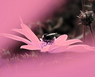 Similar image 3693580