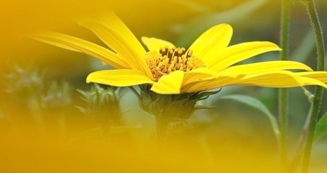 Similar image 3693588