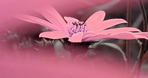 Similar image 3693596