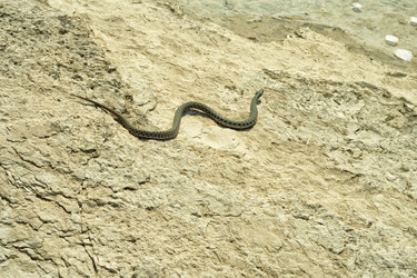 Similar image 3706407