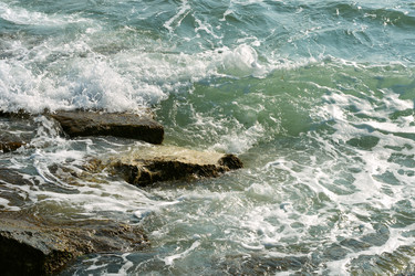 Similar image 3706450