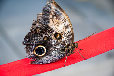 Similar image 3708404