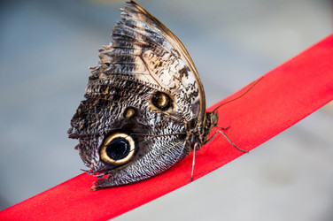 Similar image 3708451