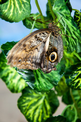 Similar image 3708464