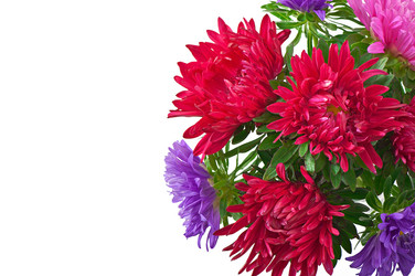 Similar image 3722169