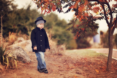 Similar image 3722433