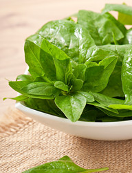 Similar image 3723108