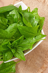 Similar image 3723125